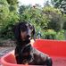 Anne Lennox - Facebook