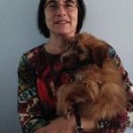 Ann Levin - @levin_ann - Instagram