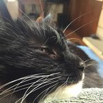 Ann Levin - @annjlevin - Instagram