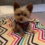 Ann Levin - @ann_levin_1234 - Instagram