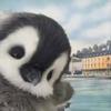Annl Evin - @annl.evin - TikTok