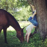 annlevine - @annlevine - Instagram