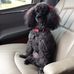 Ann Reynolds Lightfoot - Facebook
