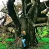 Julie Ann Lightfoot - @juliel8691 - TikTok