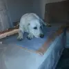 Alina Lindenmeyer - @a.lindenmeyer - TikTok