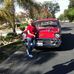 Ann Lindenmeyer - Facebook