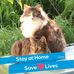 Anna Lindenmeyer - Facebook