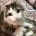 Ann Lingerfelt - Facebook