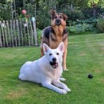 lippens ann - @annlippens - Instagram