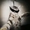 ☆An_a☆ - @anna_liska1 - TikTok