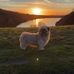 Ann Locke - Facebook