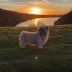 Ann Locke - @annlocke37 - Instagram