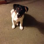 Ann Lonergan - @amlonergan2 - Instagram