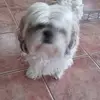 Ann Lonergan - @ann.lonergan7 - TikTok