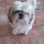 Ann Lonergan - Facebook