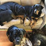 Ann Lusk - Facebook