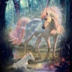Ann-Marie Lusk - Facebook