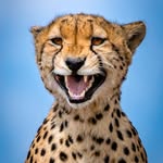 Ann Lutz - @lutsmeister - Instagram