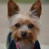 Ann Lynch - @ann.lynch43 - TikTok