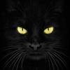 Ann Macdougall865 - @annmacdougall865 - TikTok