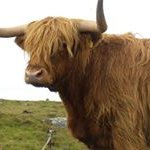 Ann Macleod - @grannyann636 - Instagram