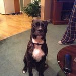 Ann Macleod - @ann.macleod - Instagram
