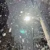 Ann Maddox - @annmaddox6382 - TikTok
