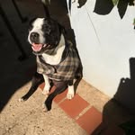 Gaylyn Ann Maddox - @gaylynannmaddox - Instagram