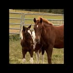 Lee Ann Maddox Weatherford - @leeannmaddox_ltph - Instagram
