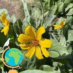 Mary Ann Mallon - @maryann.mallon.10 - Instagram