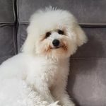 Ann Manners - @ann.manners.31 - Instagram