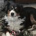 Ann Mantz - Facebook