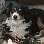 Ann Mantz - @annmantz.ma - Instagram
