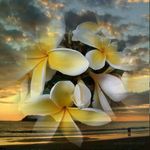 Jo Ann Marlowe-Swink - @marloweswink - Instagram