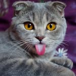 Ann Marvin - @annmarvin2774 - Instagram
