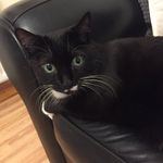 Ann Masterson - @presentinthehereandnow - Instagram