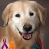 Ann Masterson Bry900 - @pandora4601 - TikTok