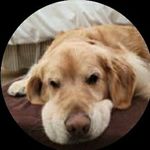 Ann Masterson Bryant - @annmastersonbryant - Instagram