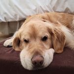 Ann Masterson Bryant - @annbryant714 - Instagram
