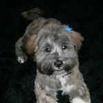 ann mathieson - @mathiesonann1 - Instagram