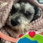 Ann Mathieson - Facebook