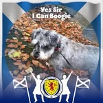 Ann Mathieson - @brownlie_2010 - Instagram