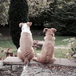 Ann Mccann - @annie.mccann - Instagram
