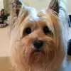 Elizabeth Ann McCann - @elizabeth.ann.mcc - TikTok