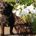 Stella Ann McCann - Facebook