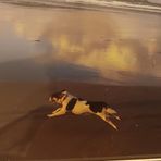 Anne Mccaughan - Facebook
