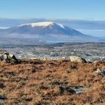 Ann McDonnell - @anndoocey - Instagram