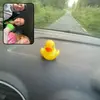 Anna McDonnell - @anna_mcdonnell - TikTok