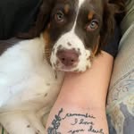 Carol Ann McEachern-Murphy - @graceomalleypirateofannspoint - Instagram