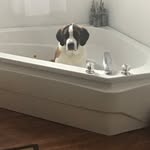 Jenna Ann McEachern - @jennaannmceachern - Instagram